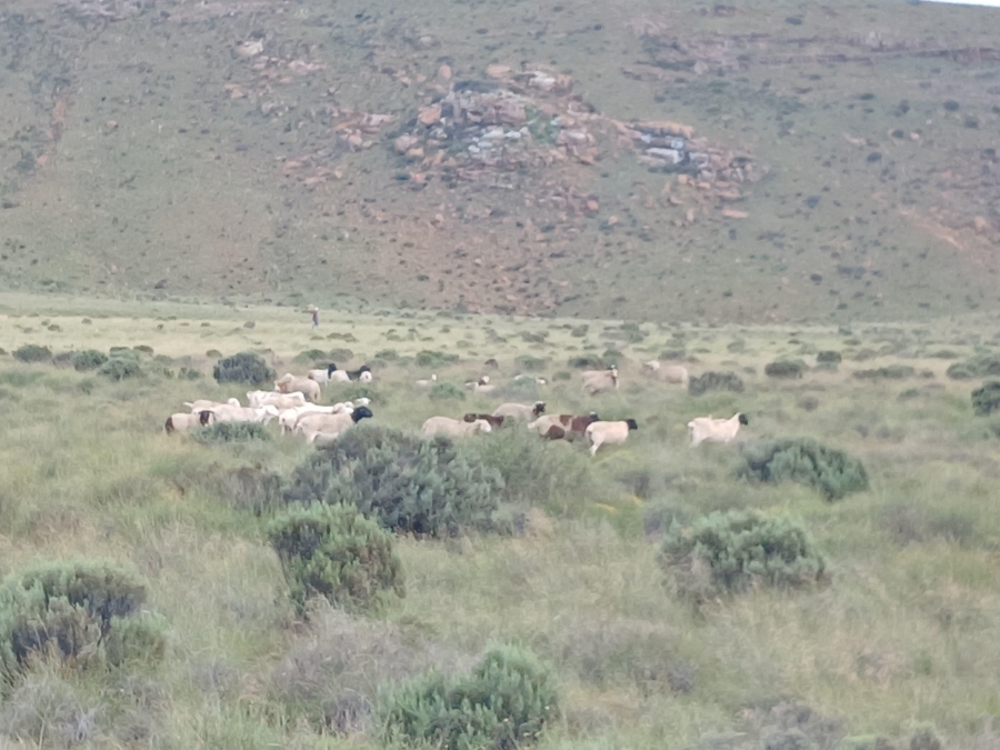 0 Bedroom Property for Sale in Richmond Rural Northern Cape